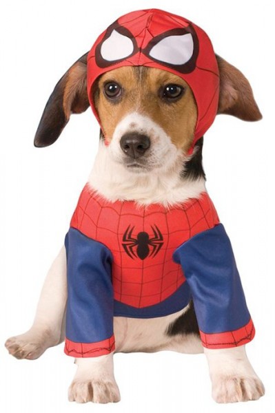 Spider Dog Hund Kostym