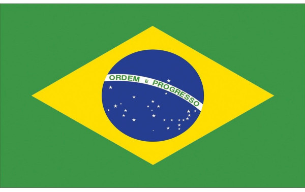 Drapeau de fan du Brésil 90 x 150 cm