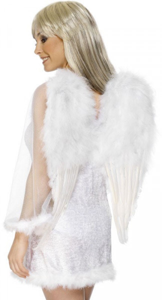 Preciosas alas de ángel 50 x 60 cm