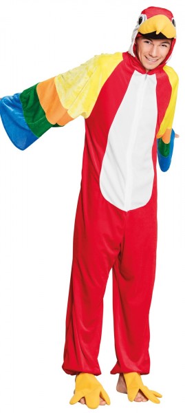 Macaw parrots teenager costume