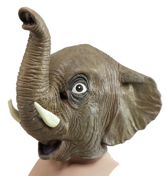 Grijs olifant vol hoofd masker