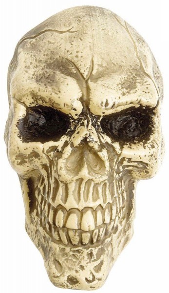 Skull Halloween wanddecoratie 25cm