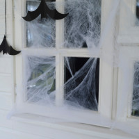 Voorvertoning: Spookhuis spinnenweb