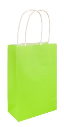 Bolsa de regalo de papel verde claro