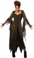Anteprima: Aura Summoning Creepy Witch Ladies Costume