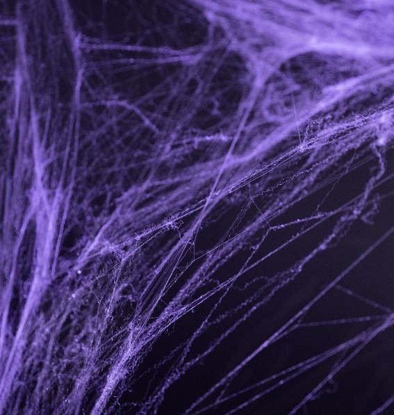 Violette Horror Spinnweben 60g