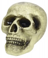 Décoration d'Halloween Skull Skull Vanitas