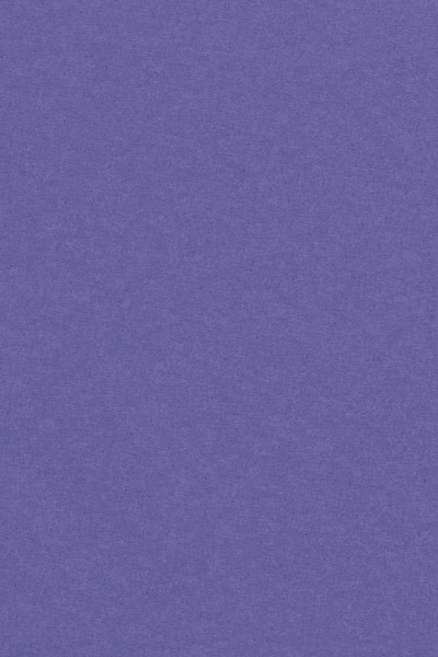 Tovaglia in rotolo Violetta 1 x 30,5m