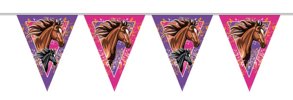 Guirnalda de banderines Pinkie Horses 10m