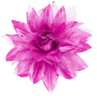 Vorschau: Pinke Blumen Haarspange