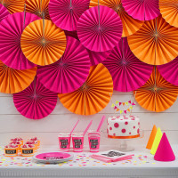 Preview: 8 Hip Hip Pink Birthday paper plates 23cm