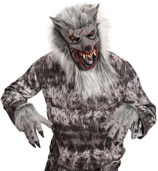 Weerwolf kostuumaccessoires - masker en handschoenen