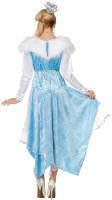 Anteprima: Frozen Elea Ladies Costume