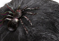 Widok: Spinka do włosów z brokatowym pająkiem