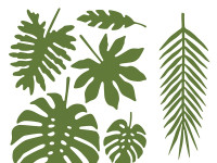Preview: 21 tropical palm leaves in 7 shapes