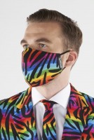 Aperçu: Masque Nez Bouche OppoSuits Wild Rainbow