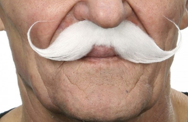 Moustache de noble blanc