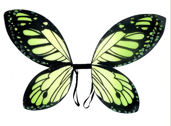 Vlinder feeën vleugels groen