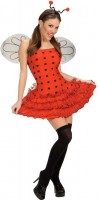 Vista previa: Disfraz de ladybug Miffy sexy para mujer