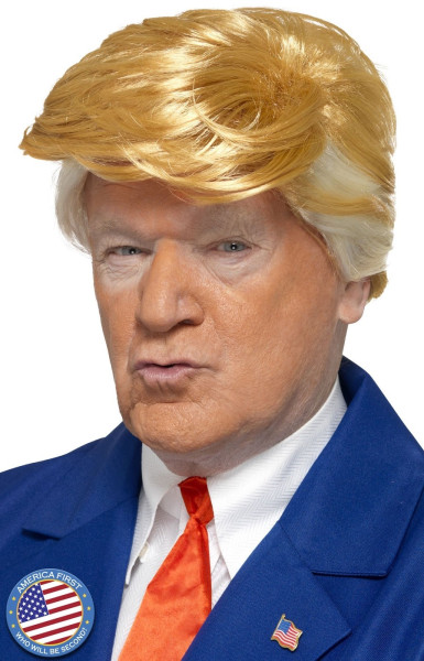 Mr President men's wig