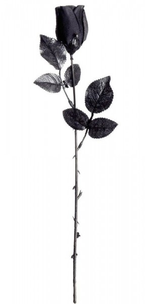 Rosa nera gotica 44cm
