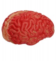 Preview: Bloody brain Halloween decoration