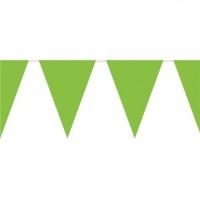 Guirlande de drapeaux verts 10m