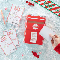 Frozen Christmas Elfenpost Box & Karten