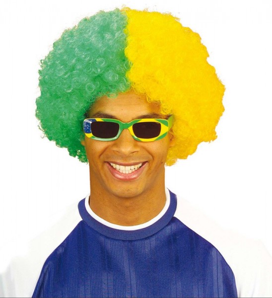 Brazil Afro wig 2