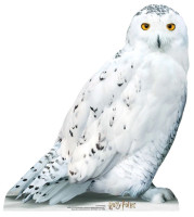Voorvertoning: Uil Hedwig kartonnen uitsnede 74cm