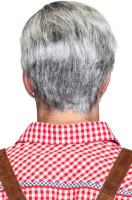 Anteprima: Parrucca di capelli grigi Alexander
