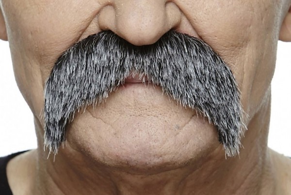 Moustache grise Walter