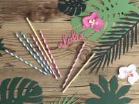 Preview: 6 Aloha table decorations