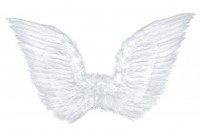 Voorvertoning: Engelenvleugels Rafael 75x45cm