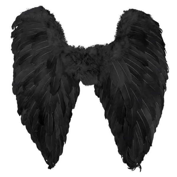 Black angel wings Miri 65 x 65cm