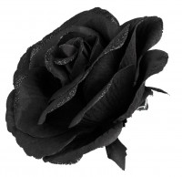 Preview: Black Rose hair clip