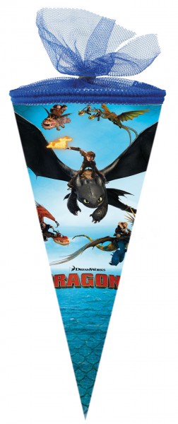 School cone How to Train Your Dragon 22cm