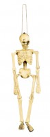 Autentico scheletro da decorazione 40cm