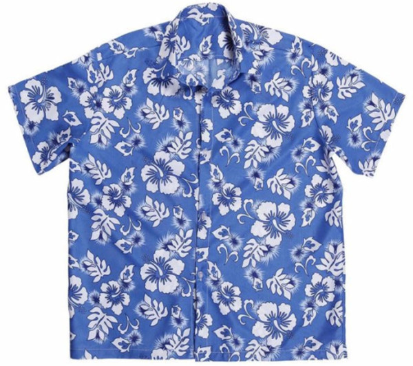 Fröhlich Blaues Hawaii Hemd 4