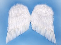 Voorvertoning: Grote engelenvleugels 55cm
