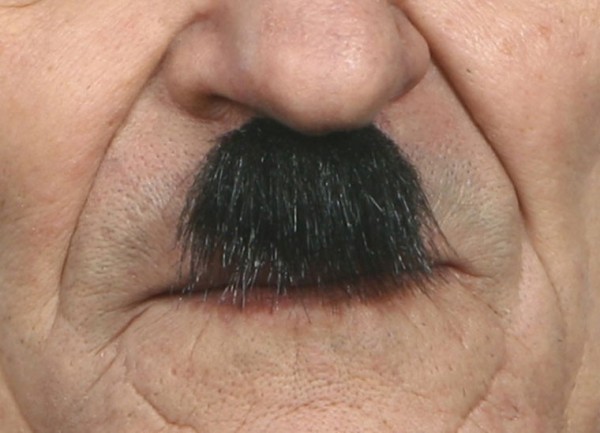 Alfons mini-skæg