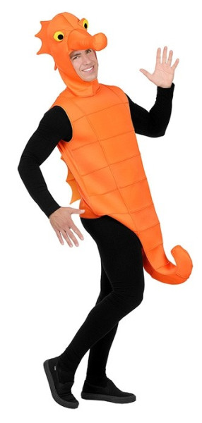 Seahorse costume for adults