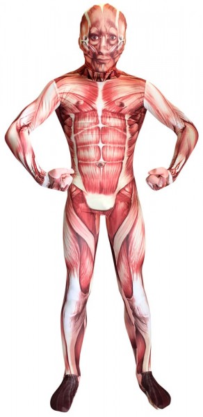Anatomia Horror Morphsuit