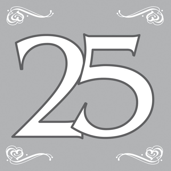 20 Servietten Silberhochzeit 25 Jahre Party Ch