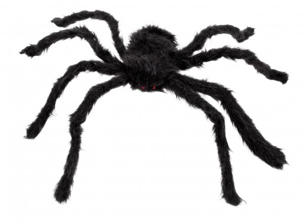Hairy decorative spider Bert in black