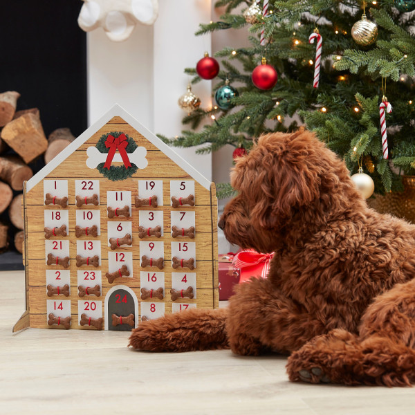 Doghouse advent calendar