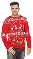 Anteprima: Maglione natalizio rosso renne per uomo