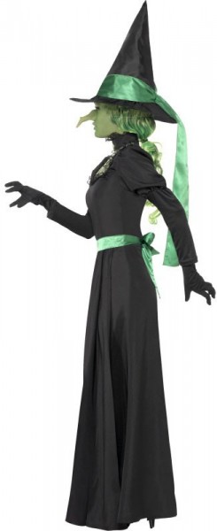 Halloween costume horror witch black green 3