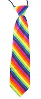 Vista previa: Corbata arcoíris