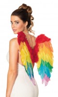 Kleurrijke Pride Angel Wings 50 x 50cm